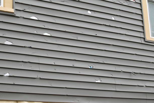 Best Fascia and Soffit Installation  in Basking Ridge, NJ